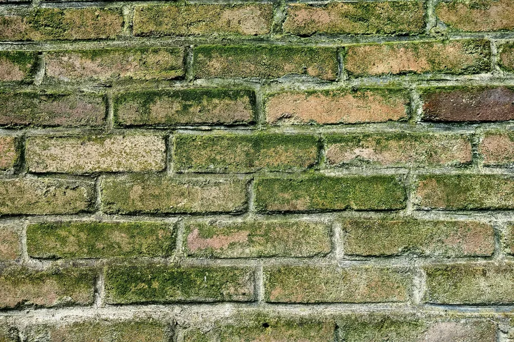 detecter une fuite d'eau dans un mur
